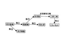 僵尸来袭2：末日 视频缩略图