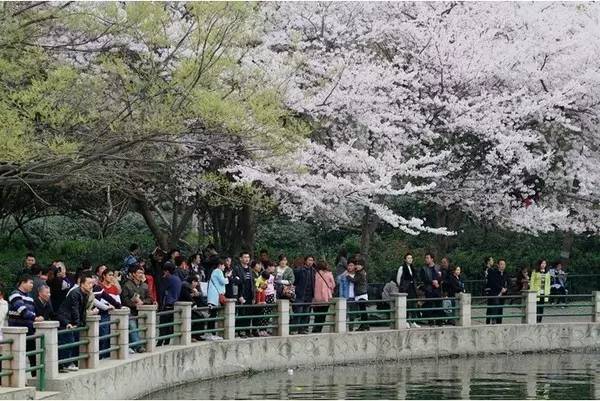 你记得我吗？ 视频缩略图