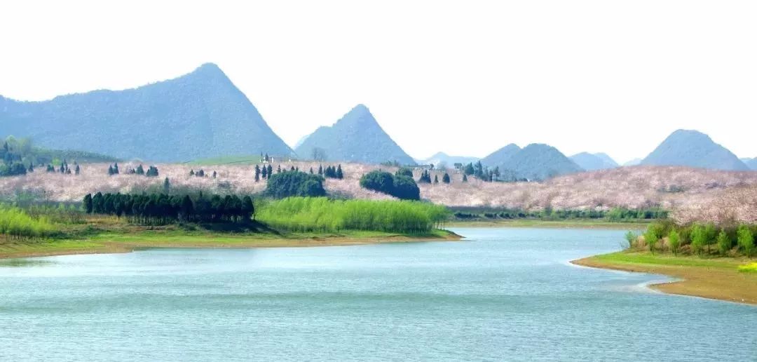 伟大的伟 视频主图