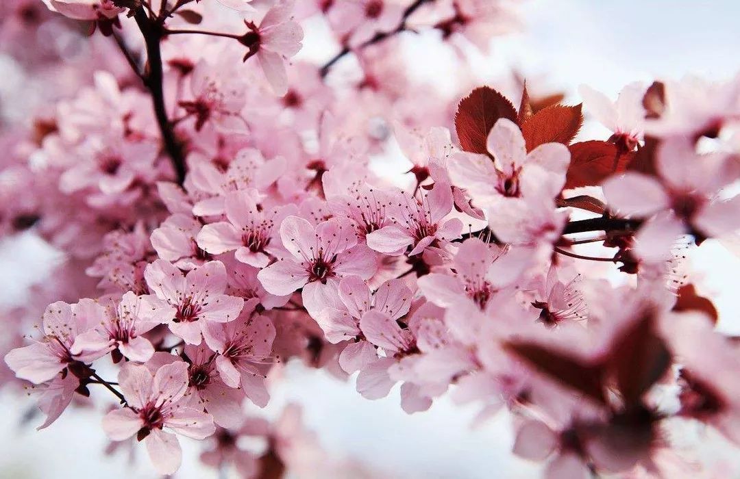 兄弟会 视频缩略图