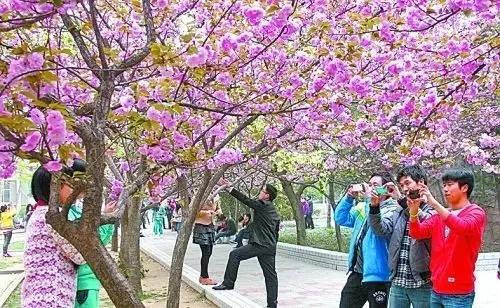 倮·恋 视频缩略图