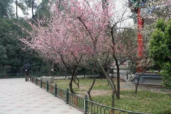 凡人烦恼 视频缩略图