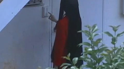 保镖2024 视频主图