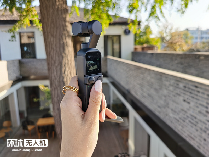 变异巨蟒 视频缩略图