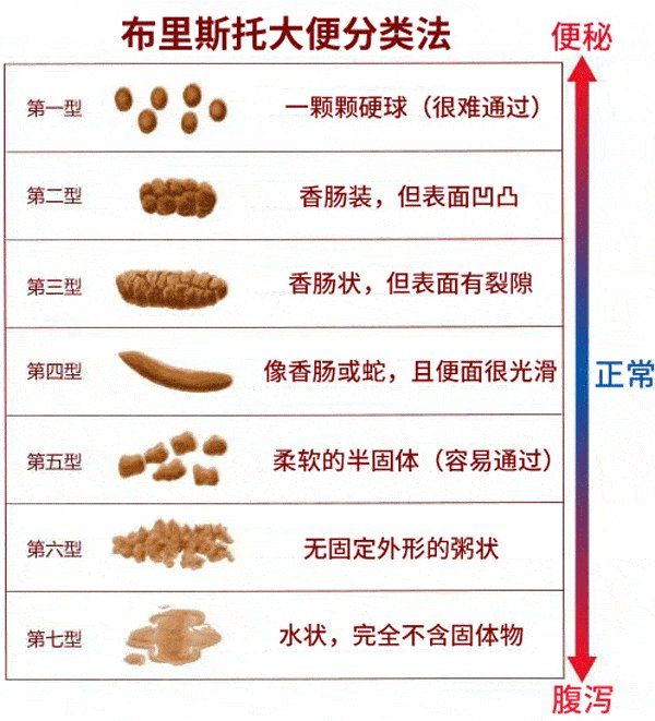你是我的春天 视频缩略图