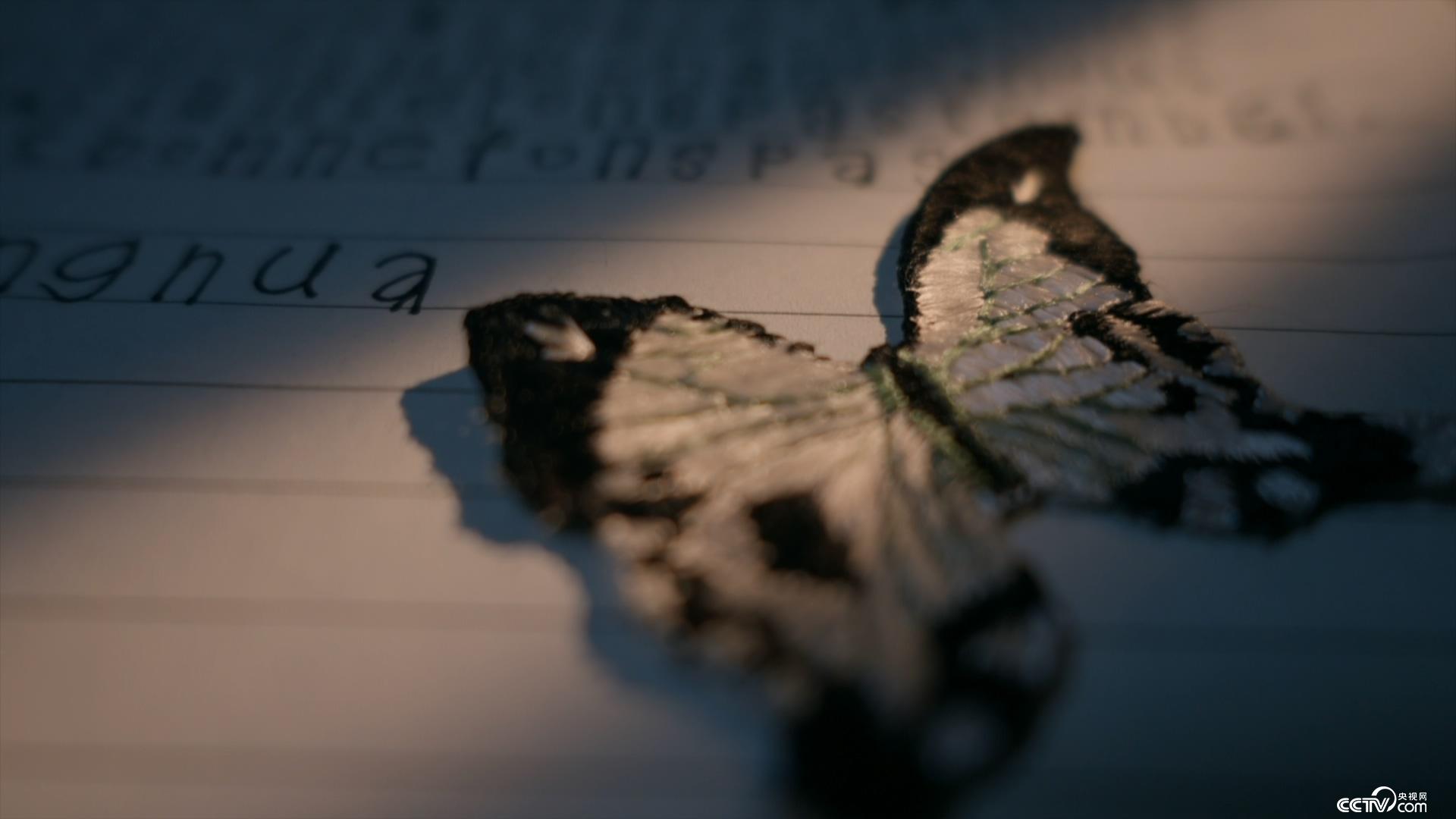 体验 视频缩略图