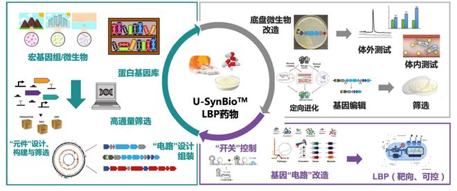僵尸世界大战（粤语版） 视频缩略图