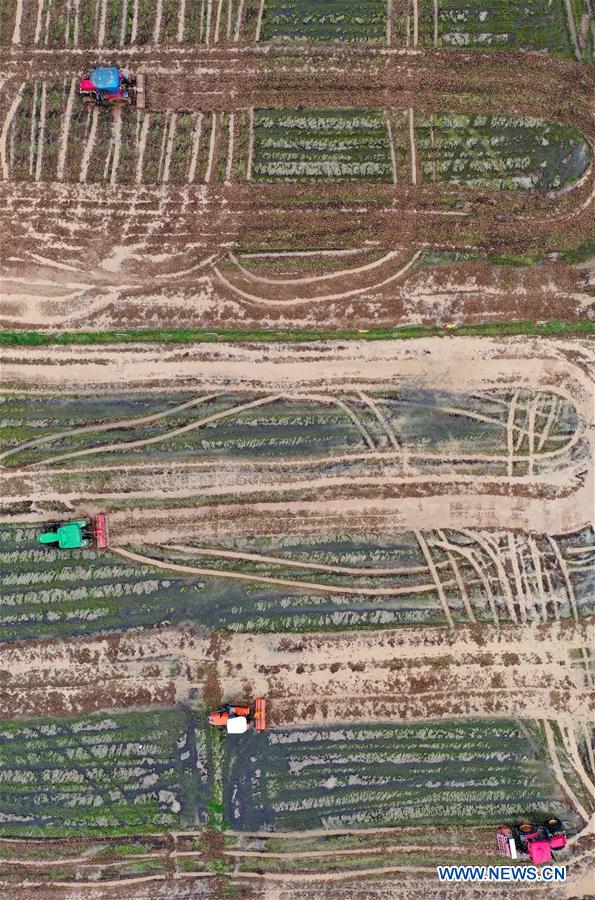 兄弟会 视频缩略图