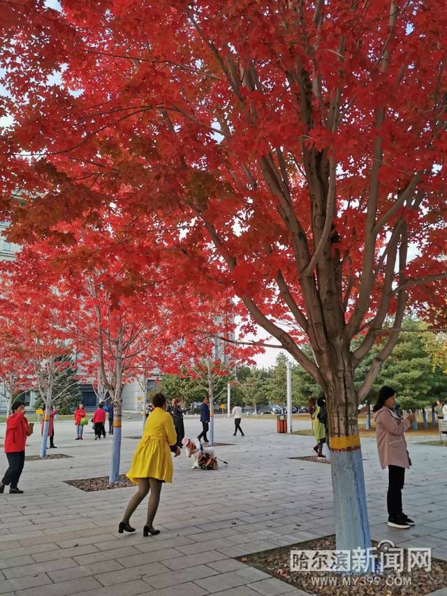 储灵空间 视频缩略图