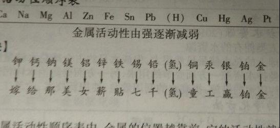 依兰爱情故事 视频缩略图