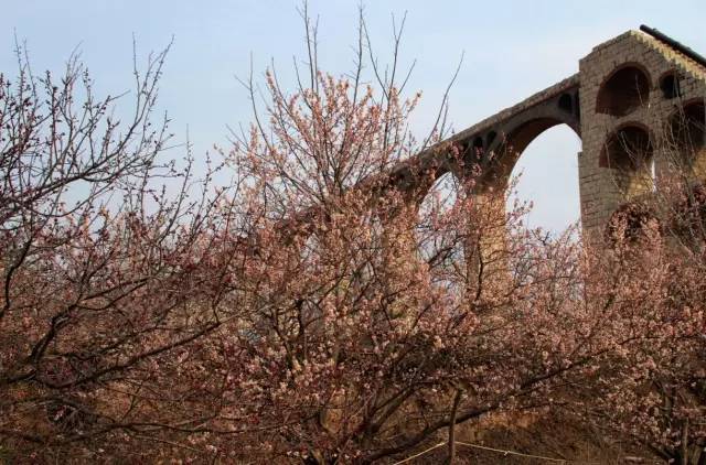 使徒行者2：谍影行动（国语版） 视频缩略图