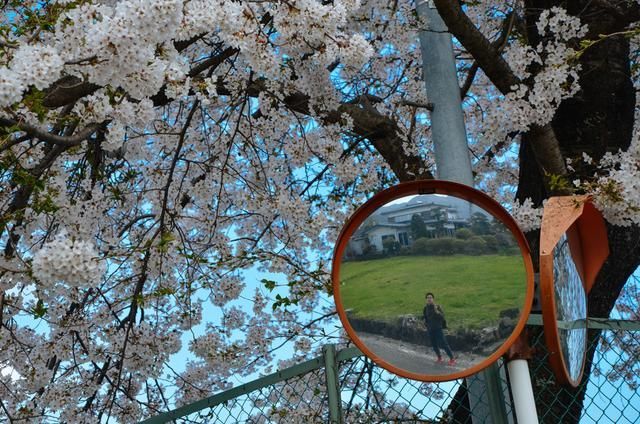 假如，我是这世上最爱你的人 视频缩略图