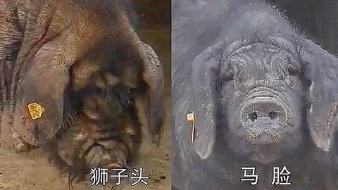 余命10年 视频缩略图