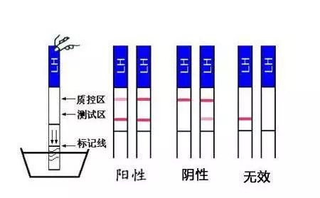 使徒行者2：谍影行动（国语版） 视频缩略图