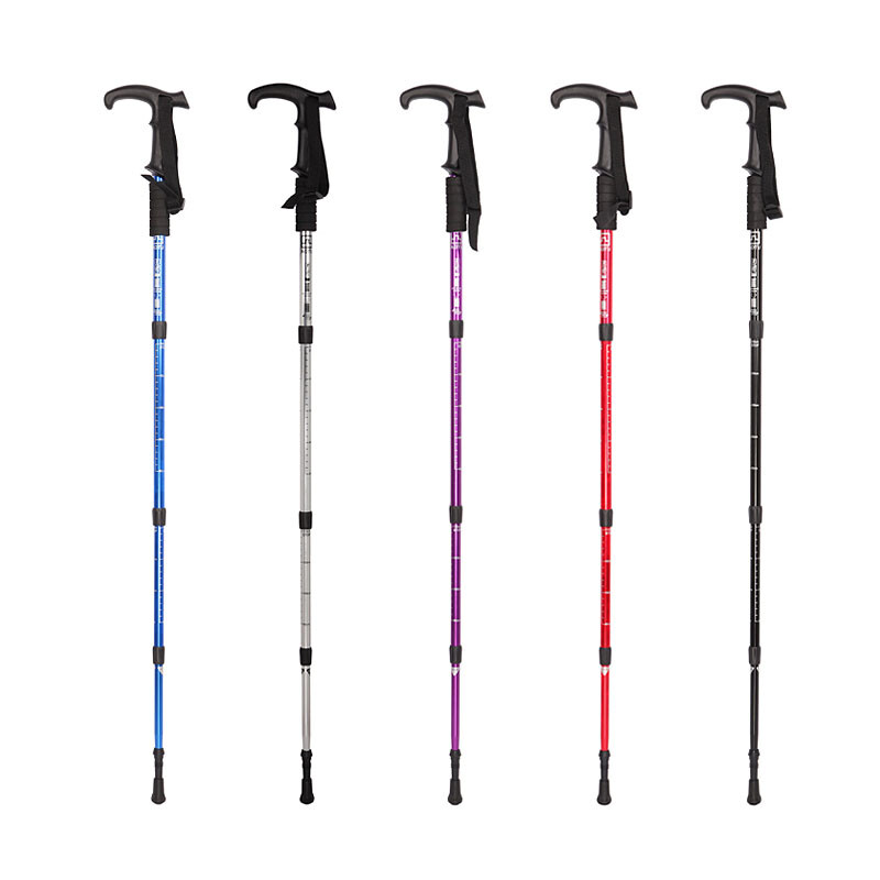 偷来的人生 视频海报