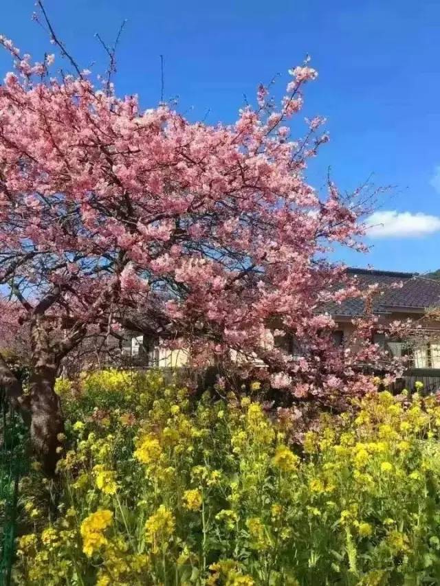 偷穿高跟鞋 视频缩略图