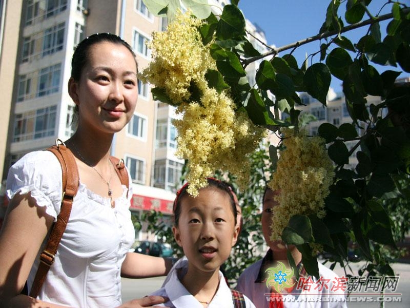 侦探克罗伊特 视频缩略图