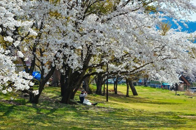 冷血追击（原声版） 视频缩略图