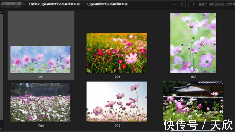 冰下的鱼 视频缩略图