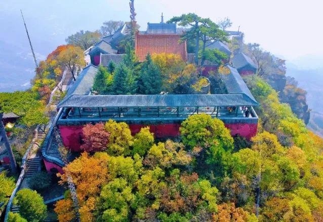 冰下的鱼 视频缩略图