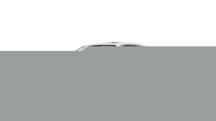 军犬麦克斯 视频海报