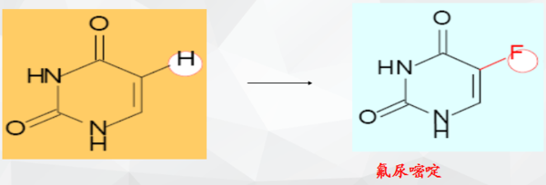 呼啸山庄 视频缩略图