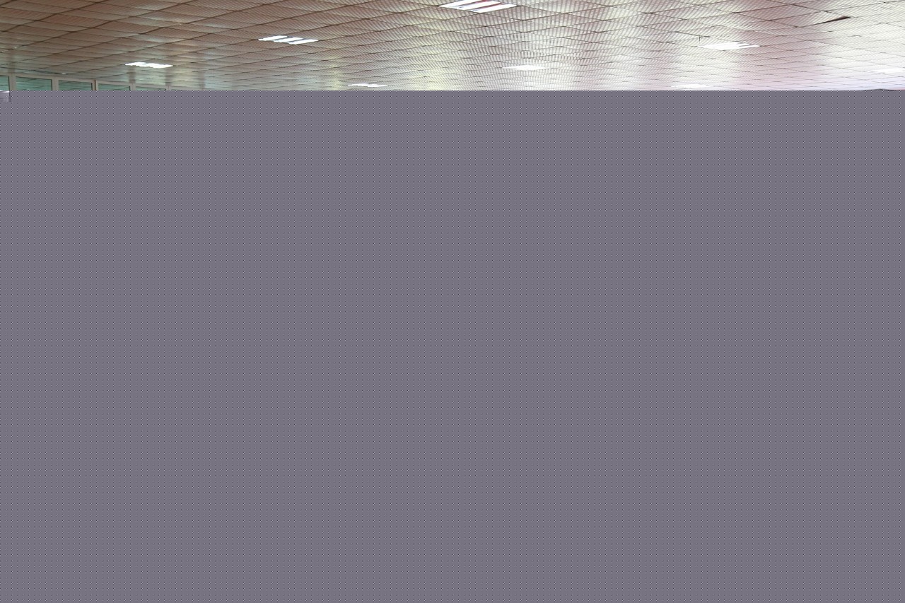 冒牌大状审死官 视频缩略图