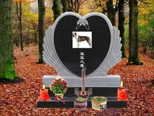 凤凰城遗忘录（原声版） 视频主图