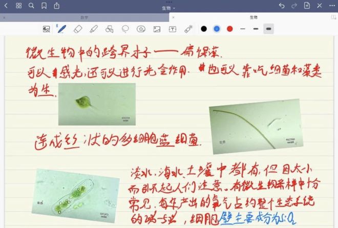 冰川时代5：星际碰撞