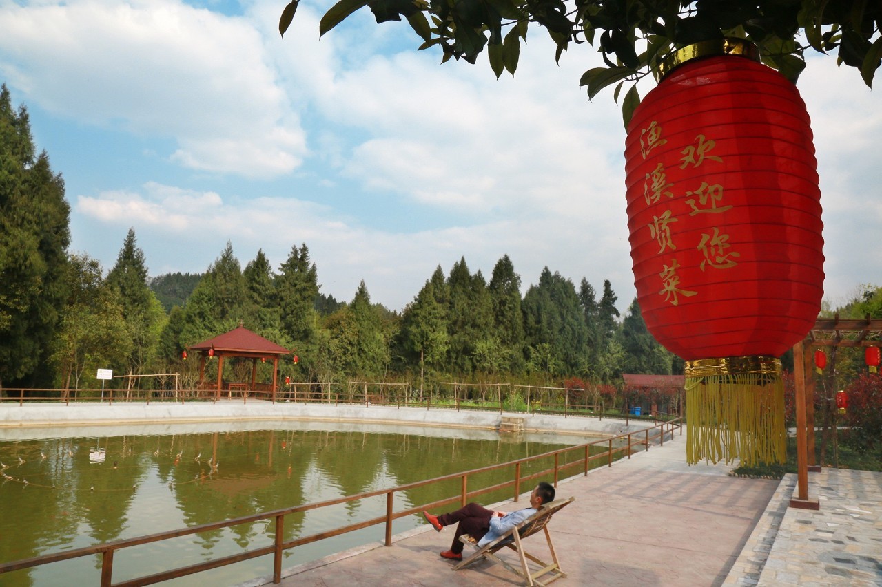 佛罗里达乐园 视频缩略图