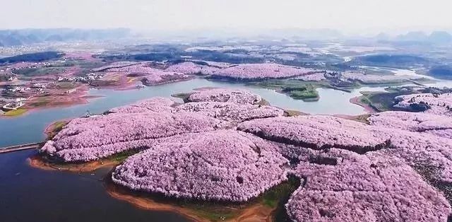 仙球大战 视频缩略图