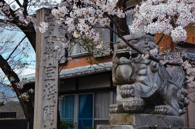 假如没有你 视频海报