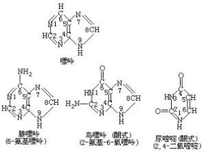余生 视频缩略图