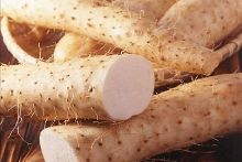 冰山一角 视频缩略图