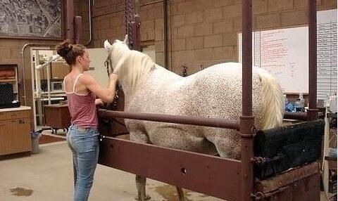 伯特·克赖舍：今夜来狂欢 视频缩略图