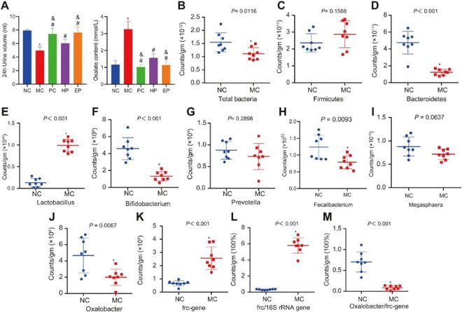 凶猫 兇貓 视频缩略图
