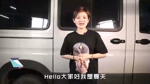 偷来的人生 视频海报