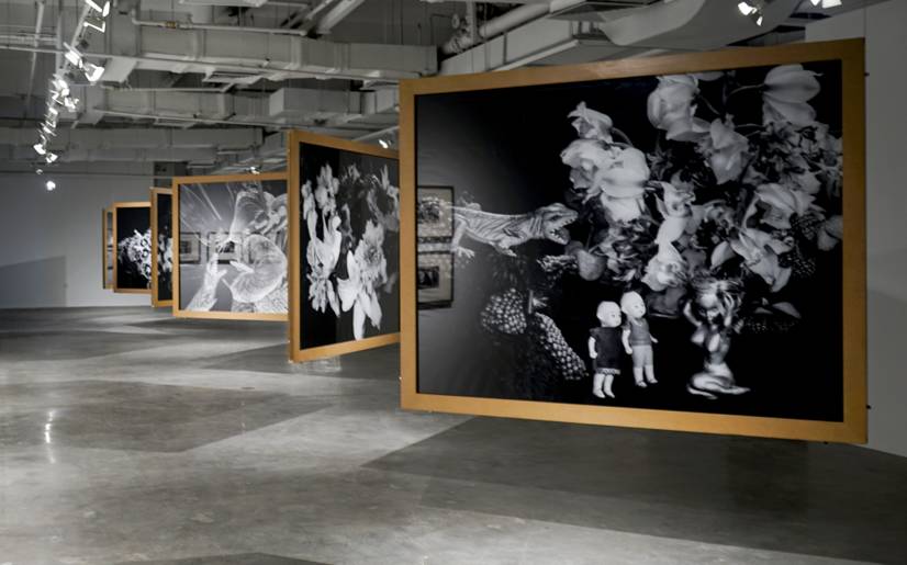 他马克老板 视频缩略图