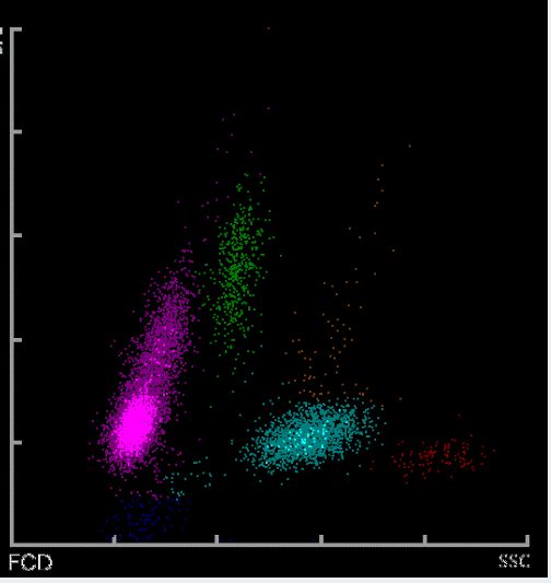 作家的洞穴 视频缩略图