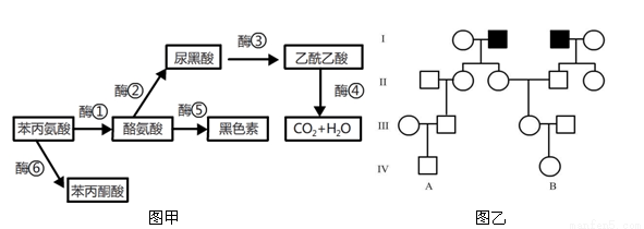 出马仙 视频海报