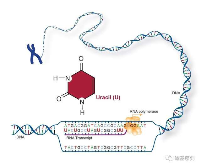 决战发财日 视频缩略图